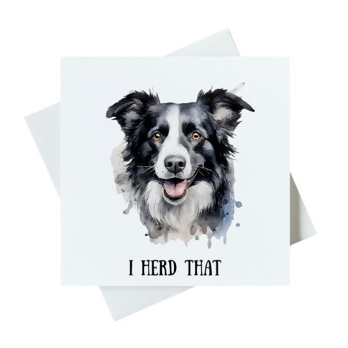 I Herd That (Border Collie) Card