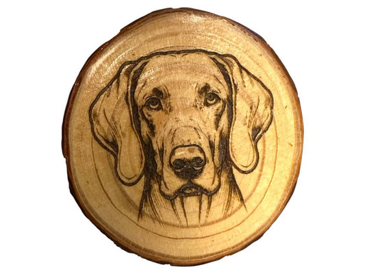 Pointer Dog Wood Slice Coaster