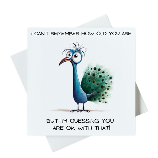 I Can't Remember How Old You Are But I'm Guessing You Are Ok With That Card