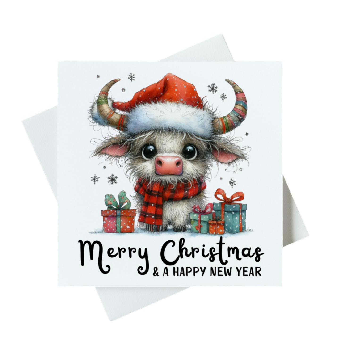 Merry Christmas & A Happy New Year Card