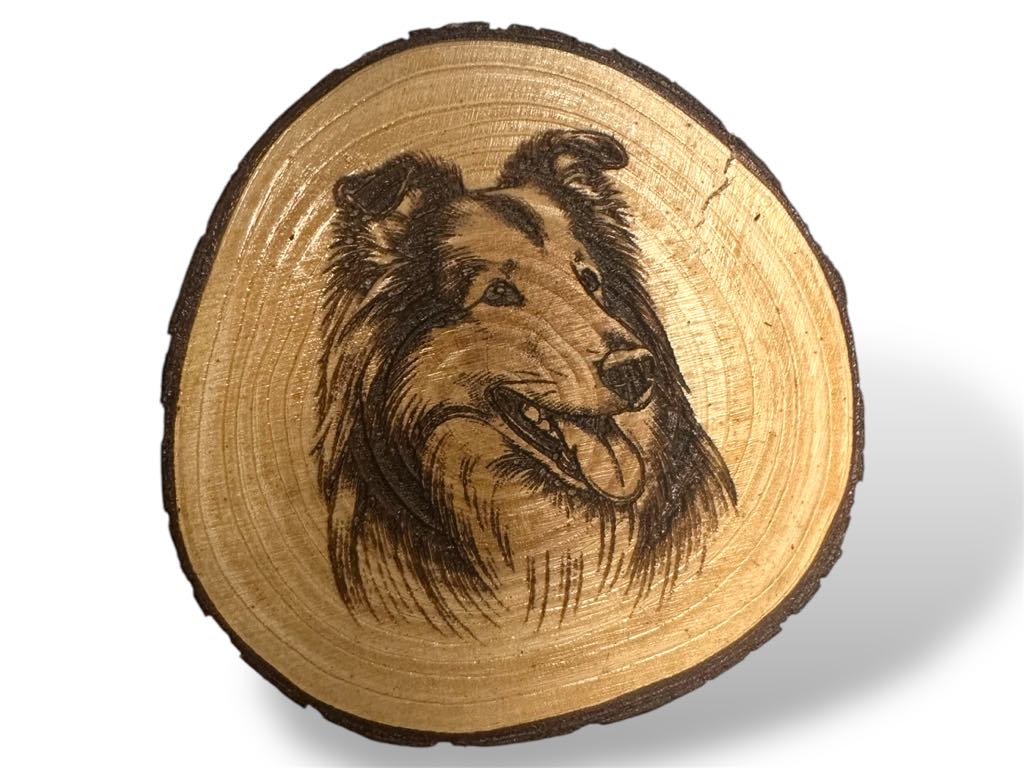 Collie Wood Slice Coaster