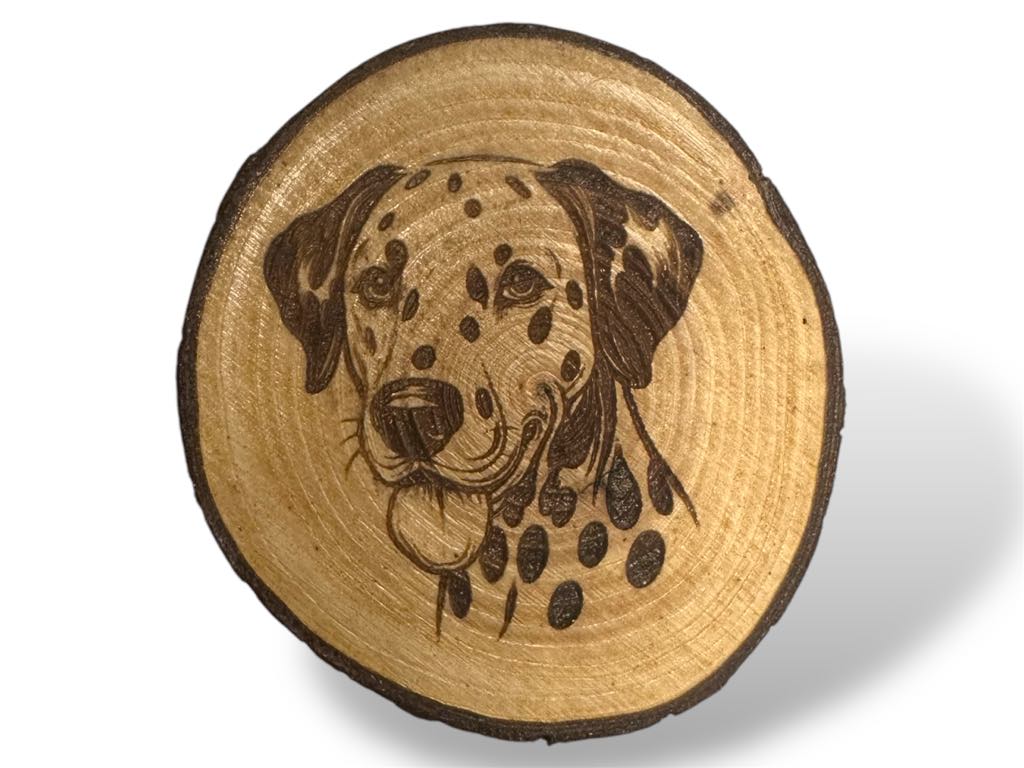 Dalmatian Wood Slice Coaster