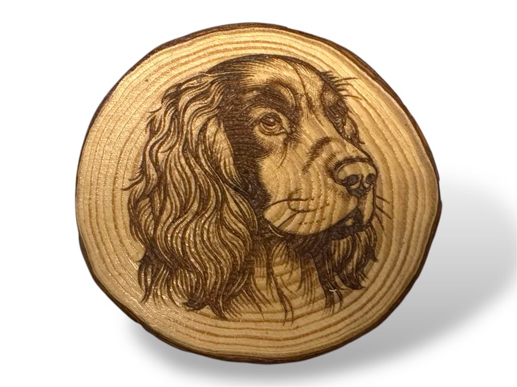 Sussex Spaniel Dog Wood Slice Coaster