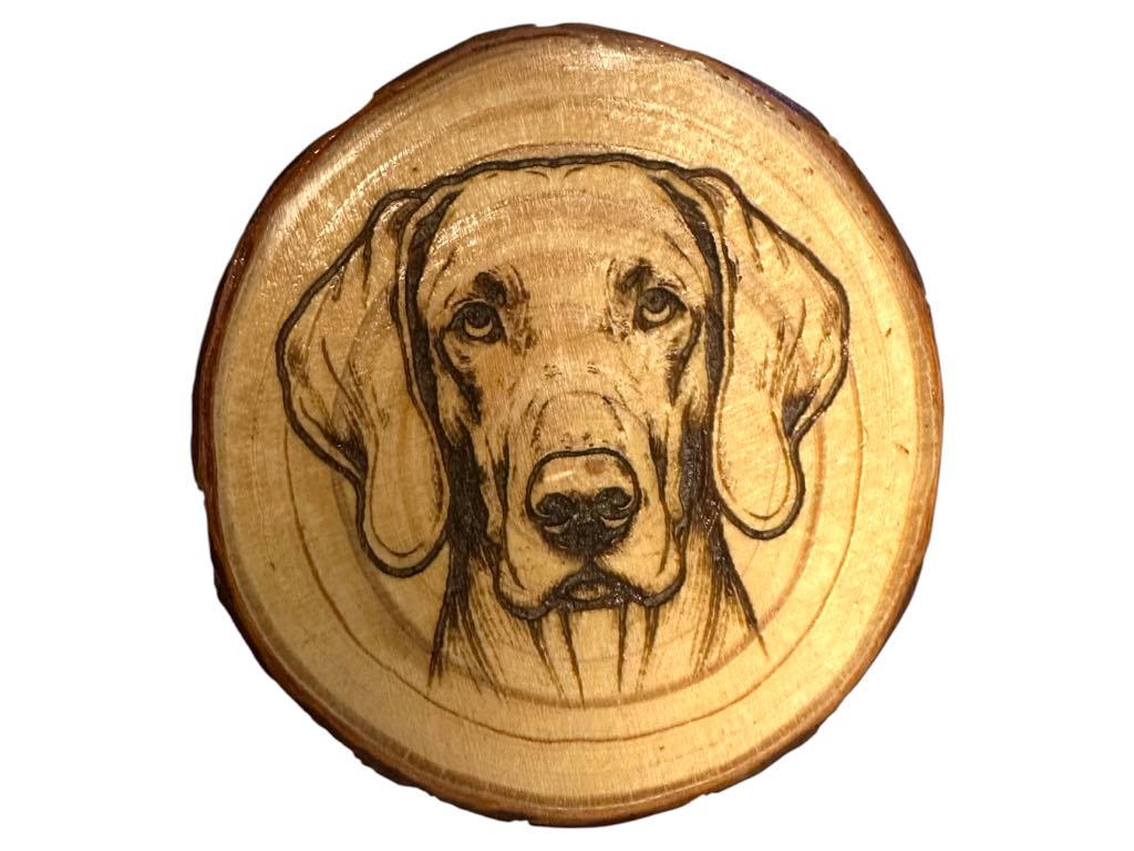 Weimaraner Dog Wood Slice Coaster