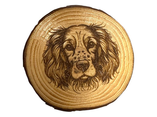 Weish Springer Spaniel 2 Dog Wood Slice Coaster