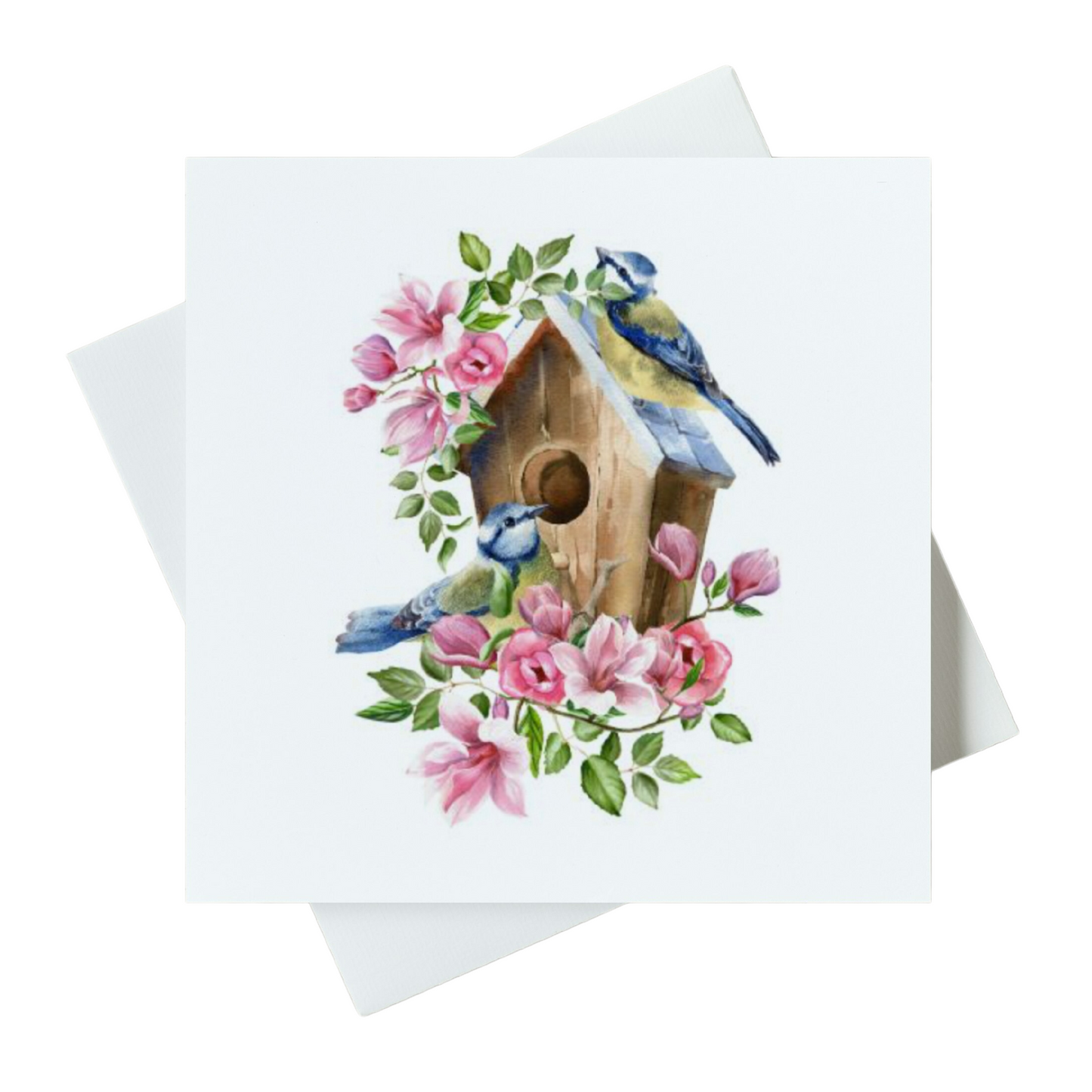 Bird House Blue Tits Card