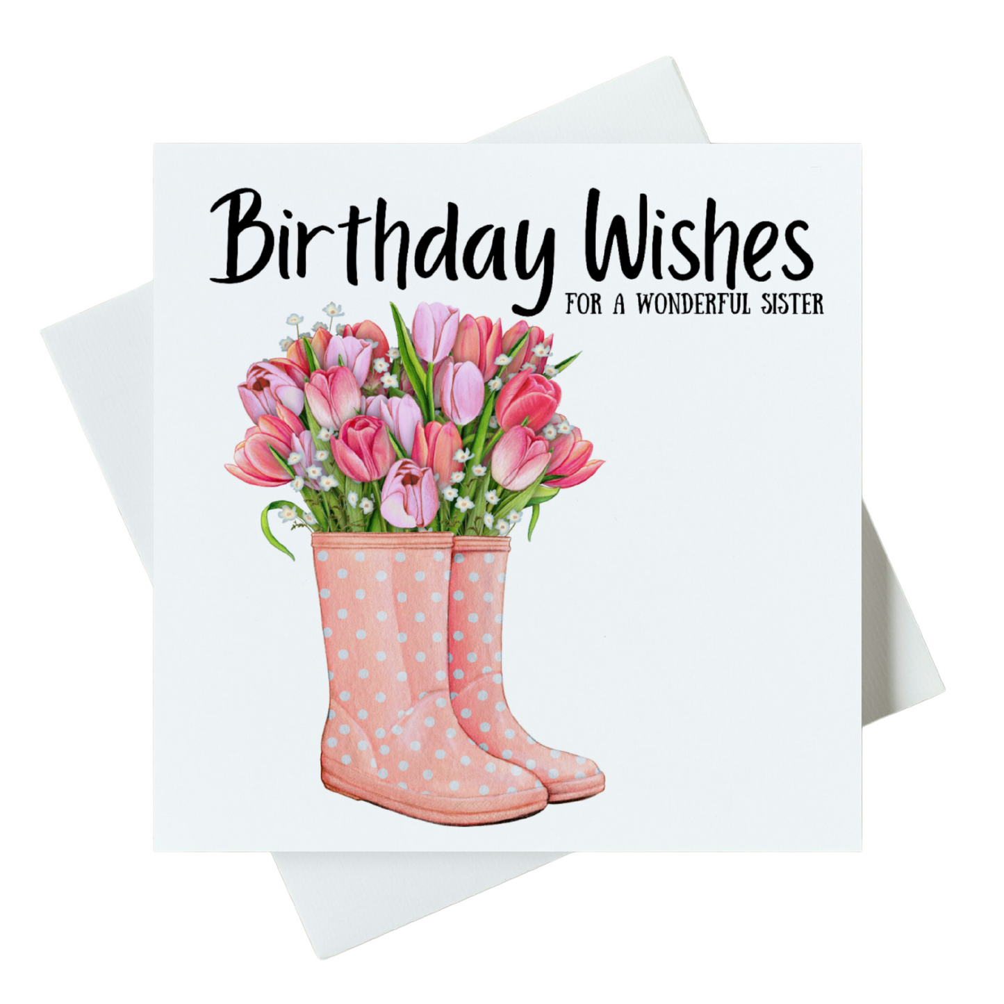 Birthday Wishes For A Wonderful Sister Card