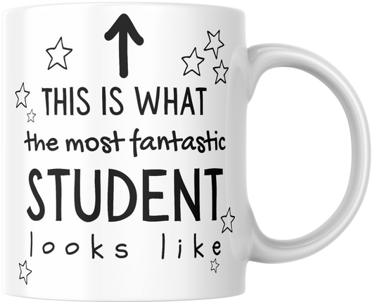 This Is What The Most Fantastic Student Looks Like Gift Mug