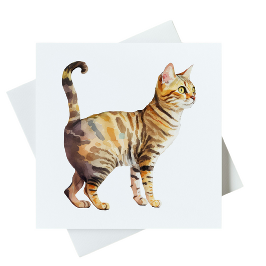 Tabby Cat Card